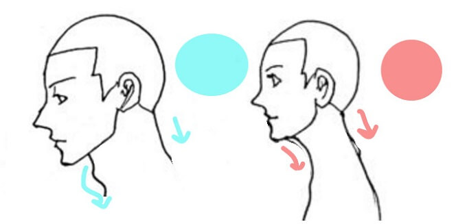 男性と女性の横顔の違いと特徴を描いたイラスト