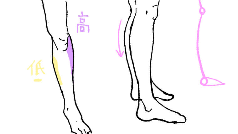 イラスト初心者向け足の描き方 ピクマゴ